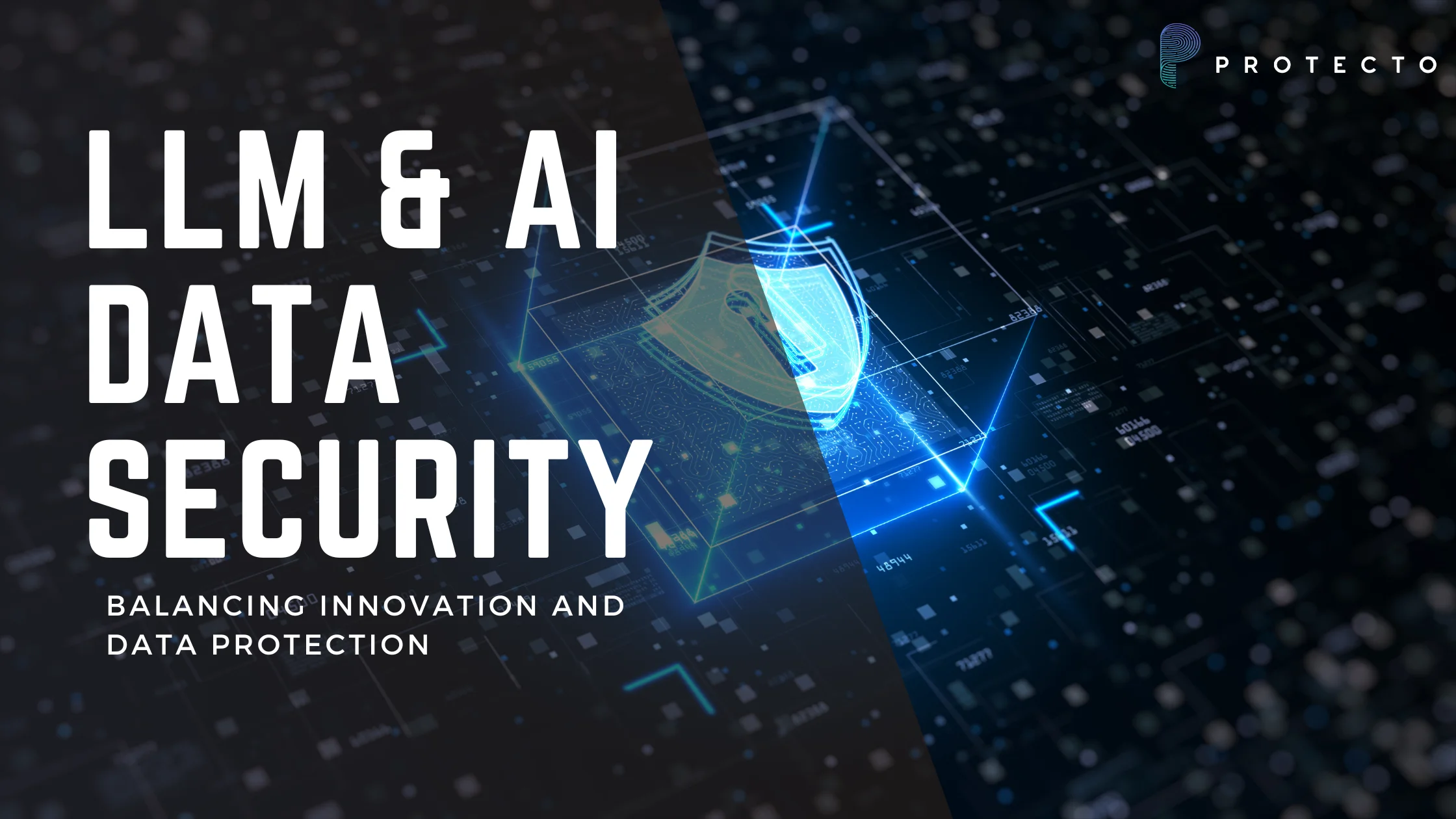 Protecto agentic workflow showing AI data privacy and masking for LLM apps