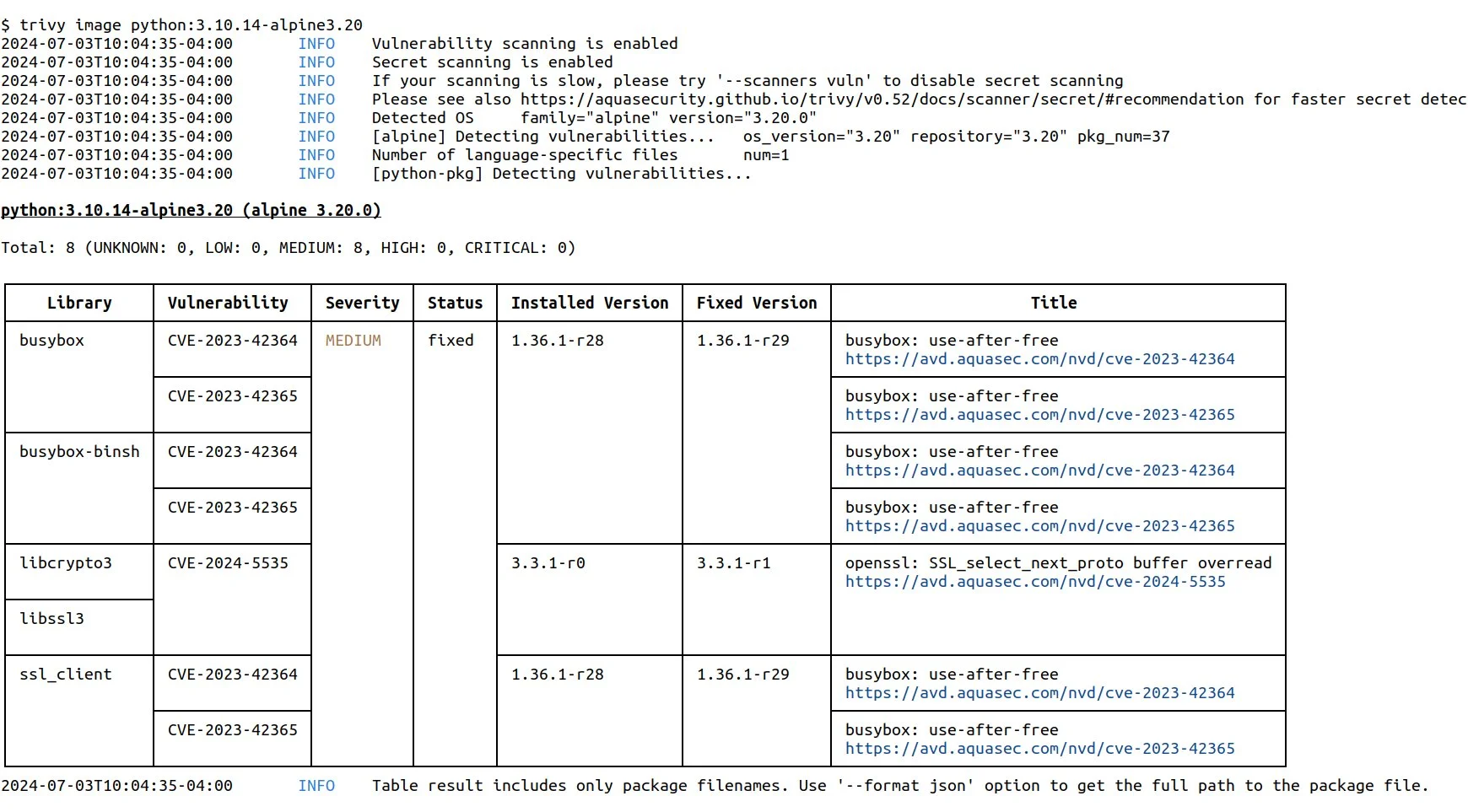 Trivy container image scan output showing CVE table with library names, severity, installed version, fixed version, and vulnerability titles