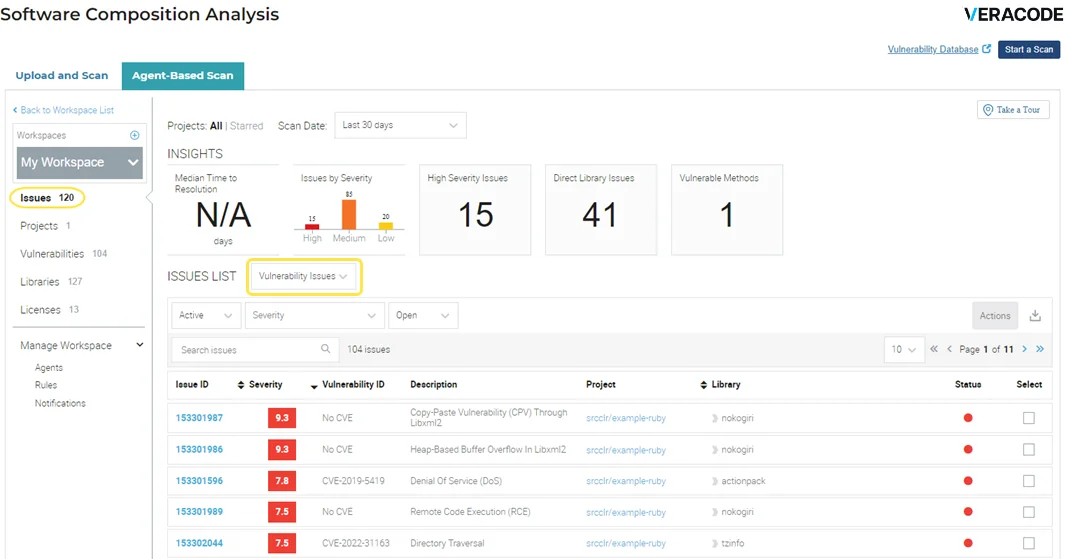 Veracode platform showing Software Composition Analysis issues list with severity ratings and CVE details
