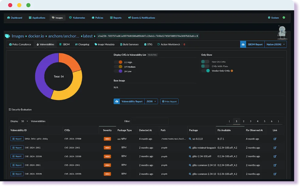 Anchore Enterprise vulnerability scan UI showing 54 total CVEs for a docker.io image, with 11 high, 19 medium, and 24 low severity findings in a dark-themed dashboard