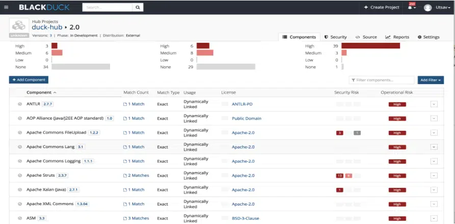 Black Duck scan results showing vulnerability findings with severity ratings and remediation guidance