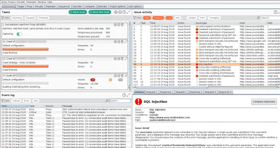 Burp Suite dashboard showing scan overview and target information