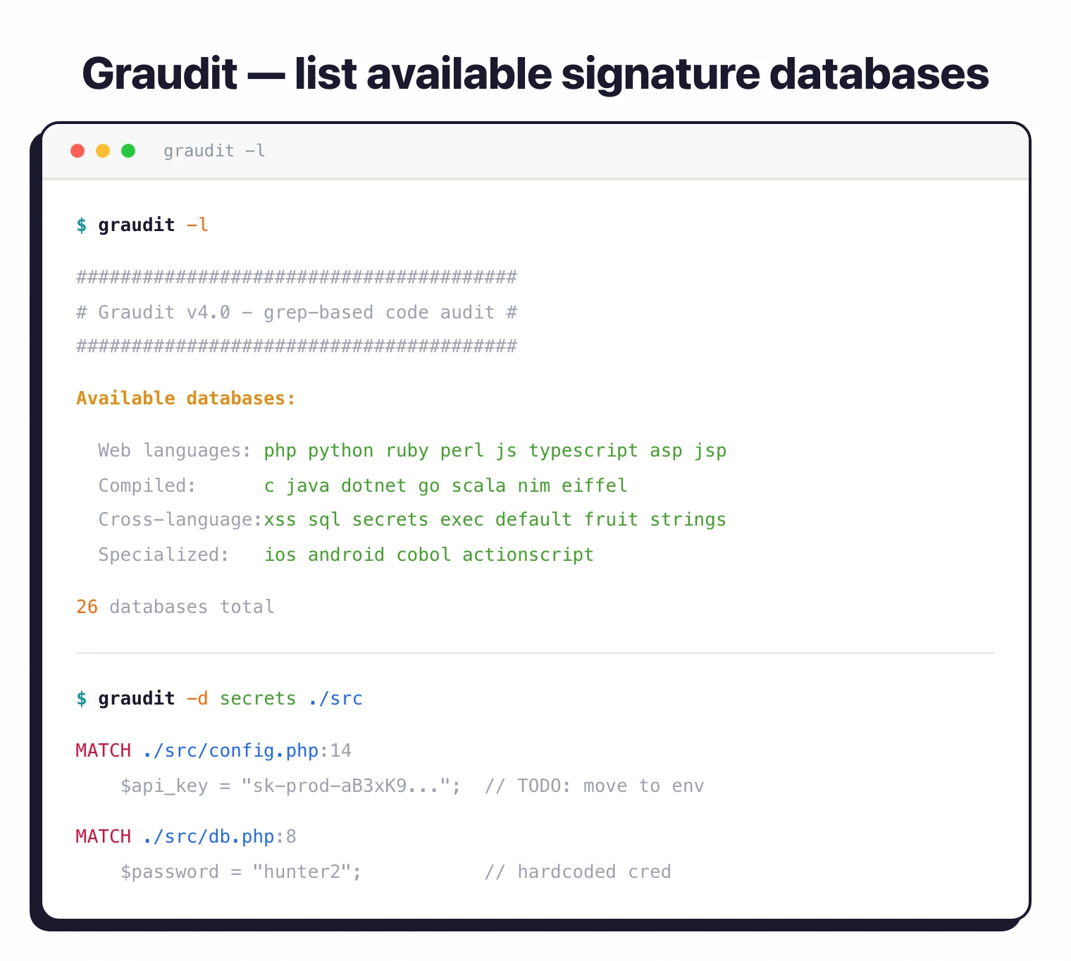 Graudit terminal output showing the list of 26 available signature databases grouped by category (web languages, compiled, cross-language, specialized) followed by a secrets database scan that detects hardcoded API keys and passwords
