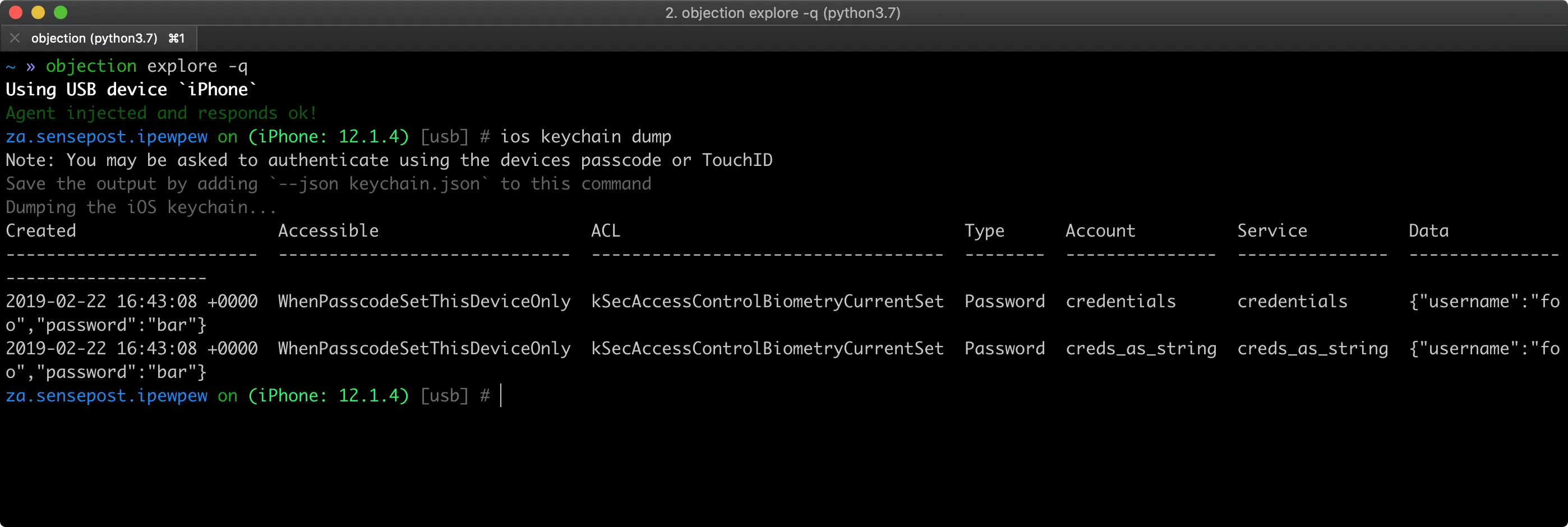 Objection iOS Keychain dump showing stored credentials and certificate data